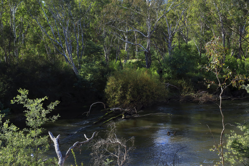 Goulburn River