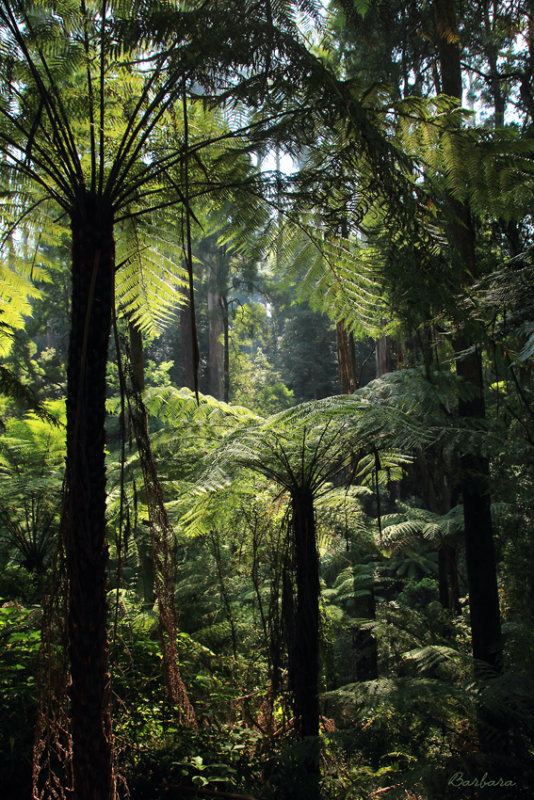 Alfred Nicholas Gardens 