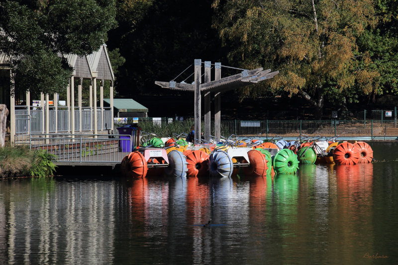 Paddle Boats