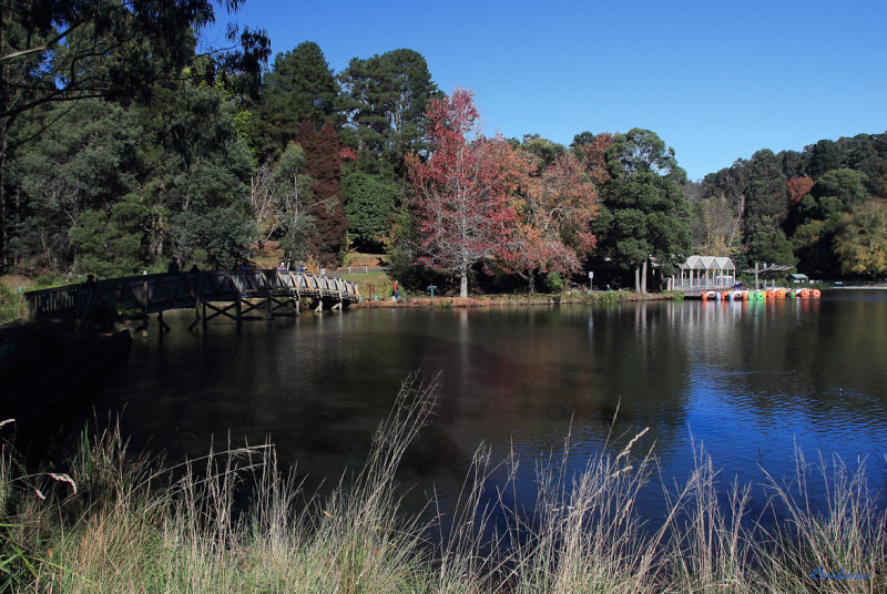 Emerald Lake Park