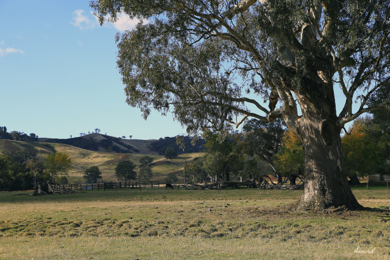 Molesworth