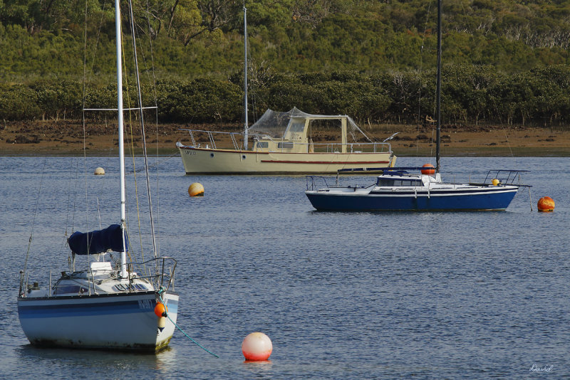 Moored at Warneet