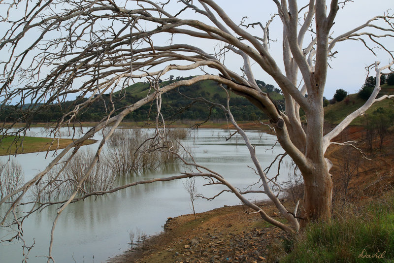 Brankeet Inlet, Bonnie Doon