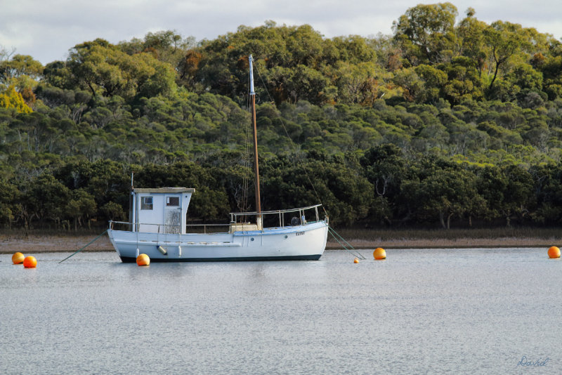 Moored at Warneet