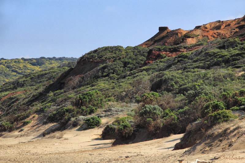 Addiscots Beach