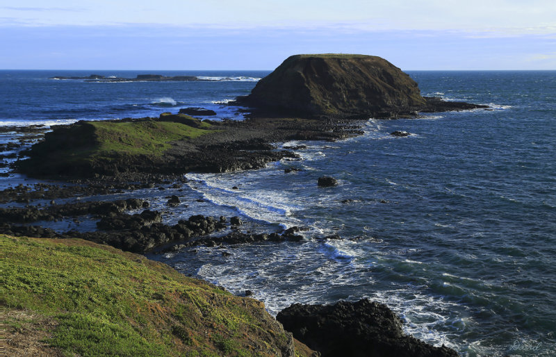 The Nobbies & Seal Rocks