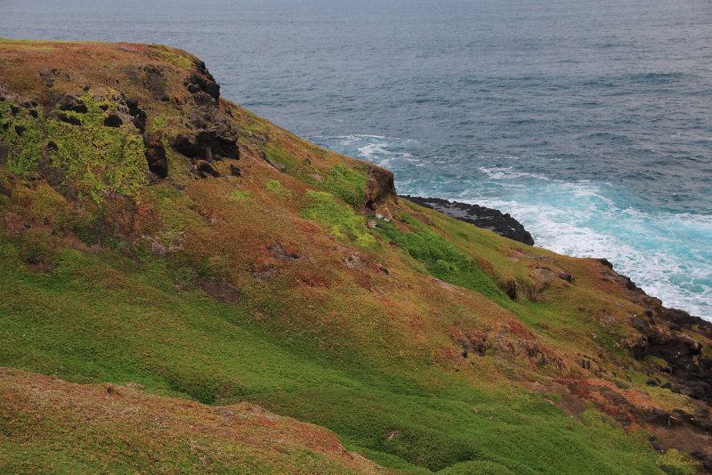 Coastal Terrain