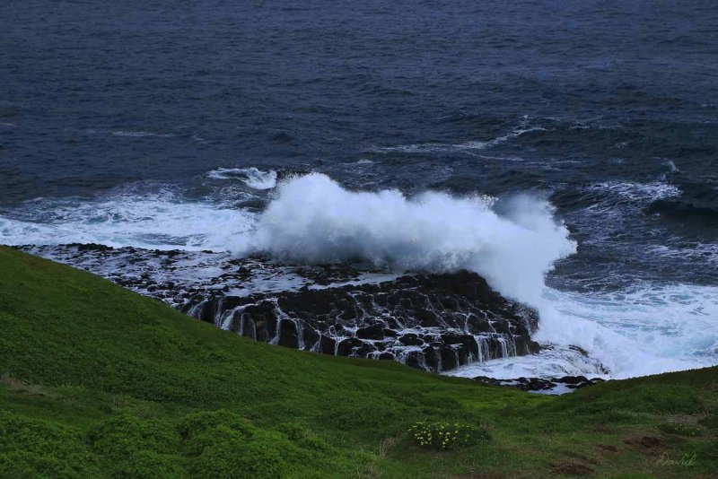 Coastal Basalt Rock