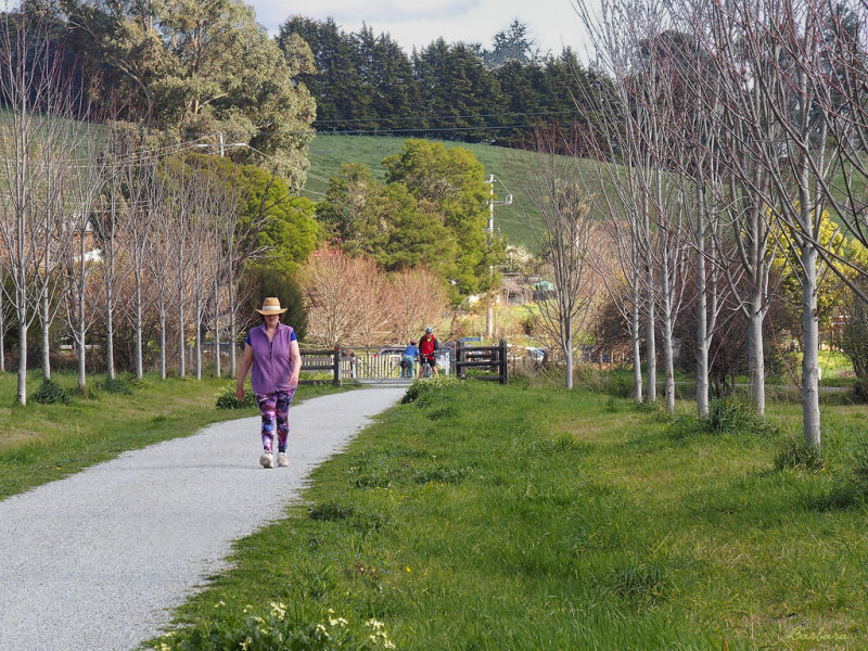 Walking the trail