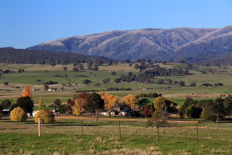 Mansfield, Victoria.
