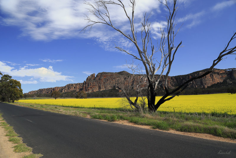 Mount Arapiles