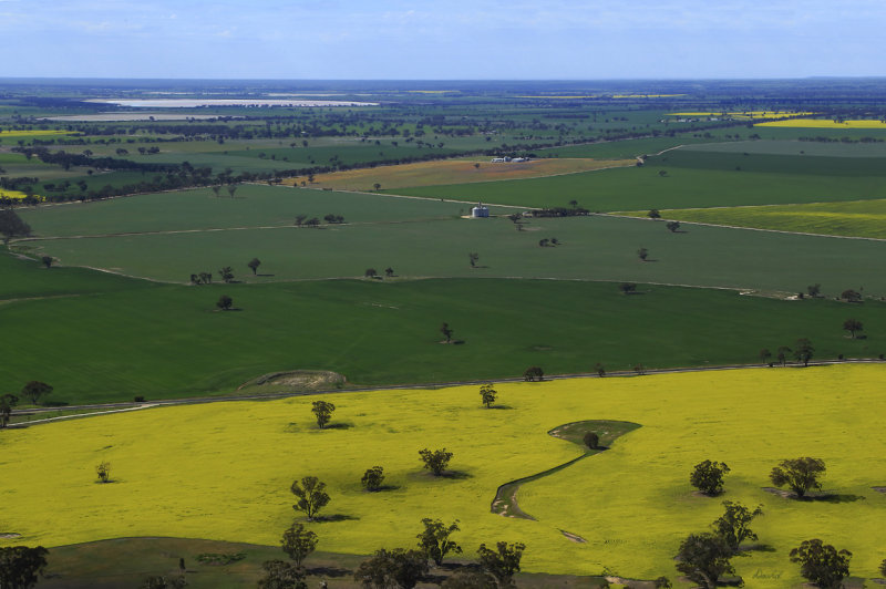 View from Mount Arapiles