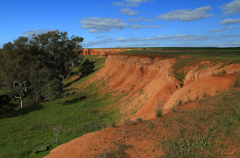 Red Banks