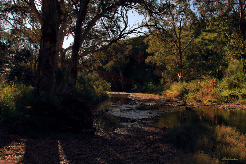 Rocks Reserve