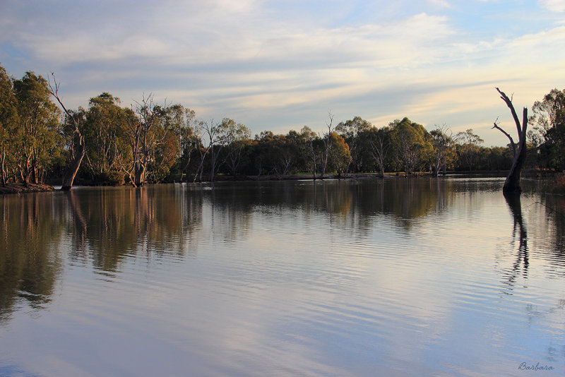 Wimmera River