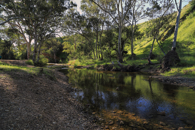 Rocks Reserve