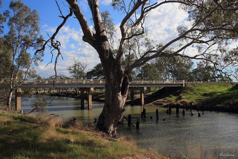 Wimmera River