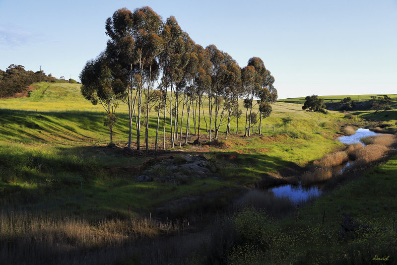 Gilbert River