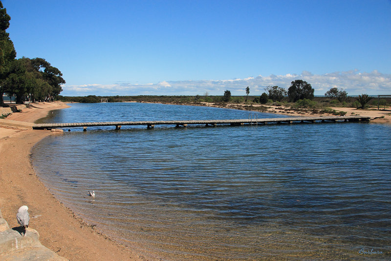 Port Wakefield tidal pool