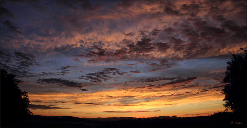 From our backyard