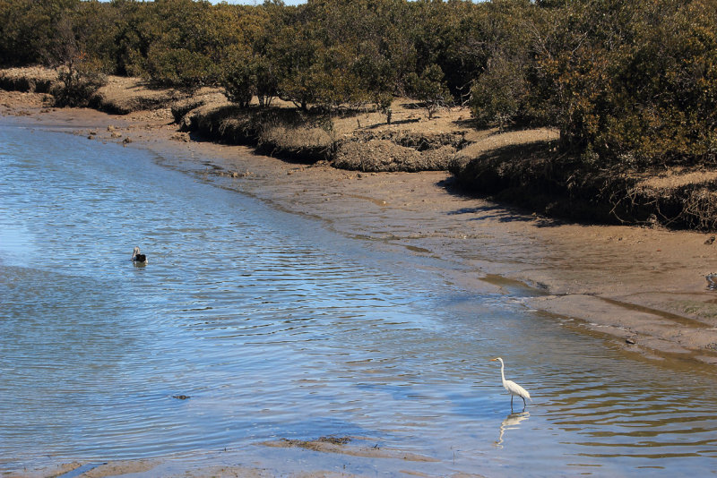 Port Wakefield Low Tide