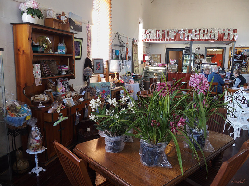 Salt of The Earth Cafe