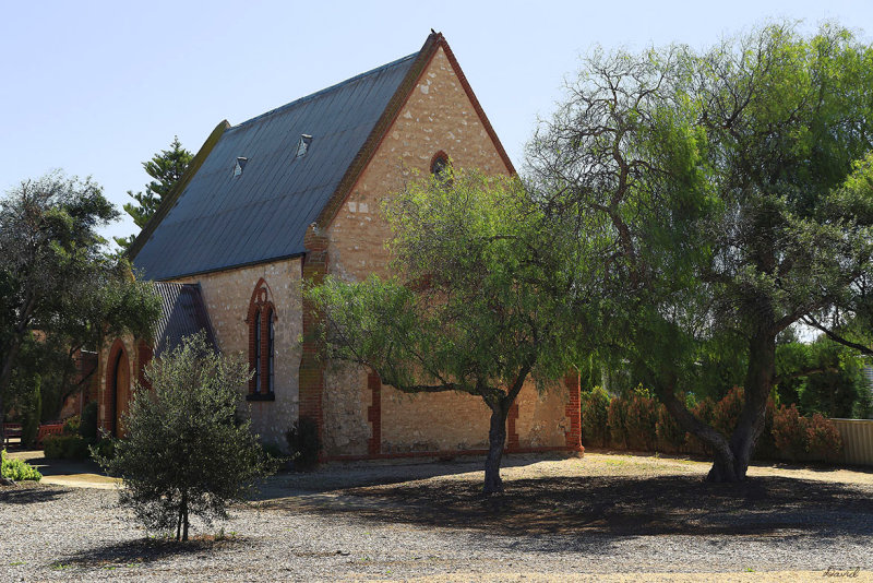 Salt of The Earth Gallery