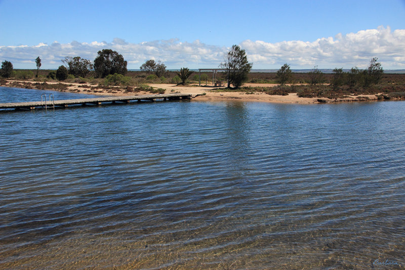 Port Wakefield tidal pool