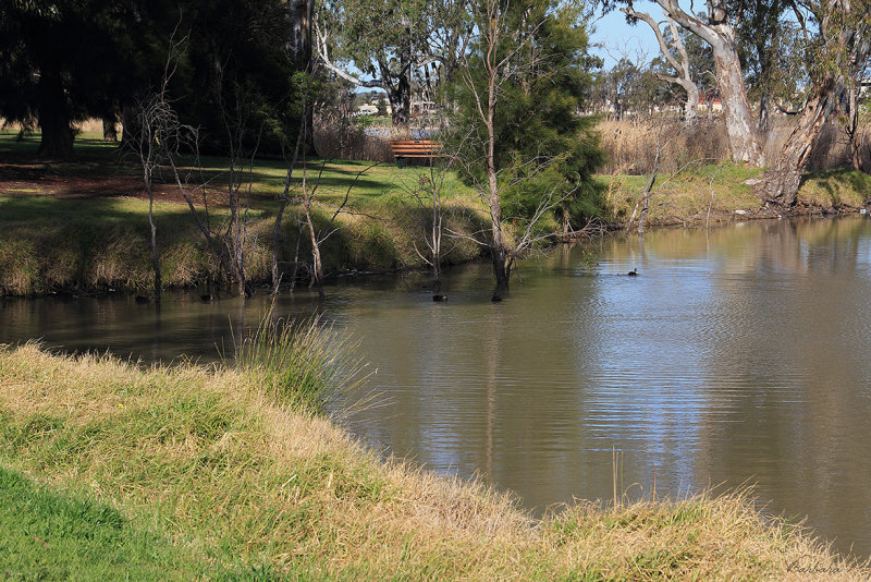 Wimmera River