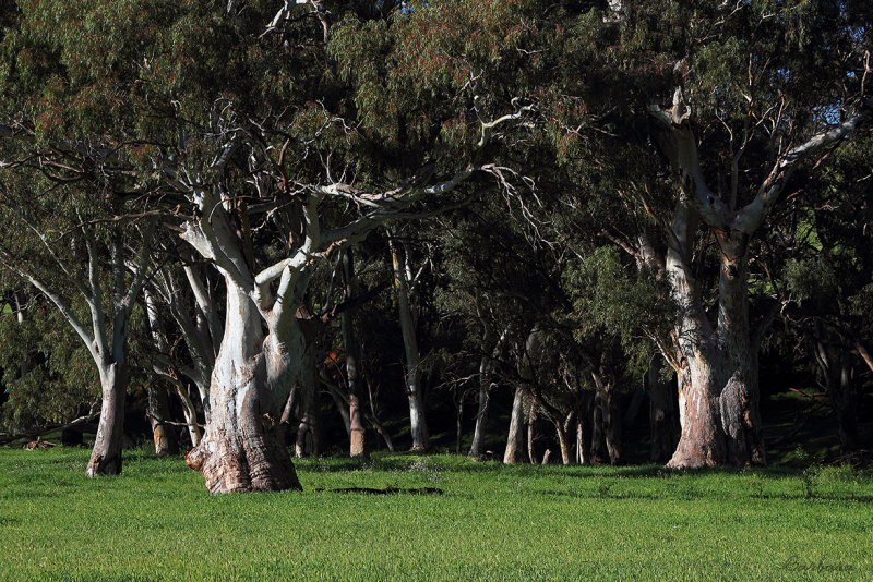  Rocks Reserve