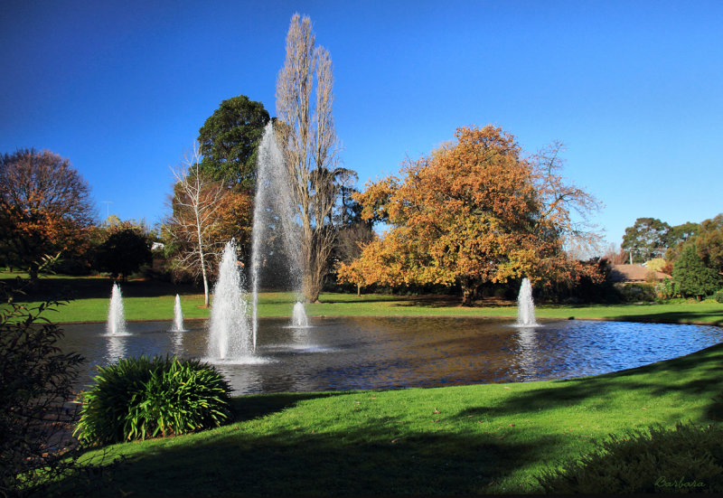 Civic Park