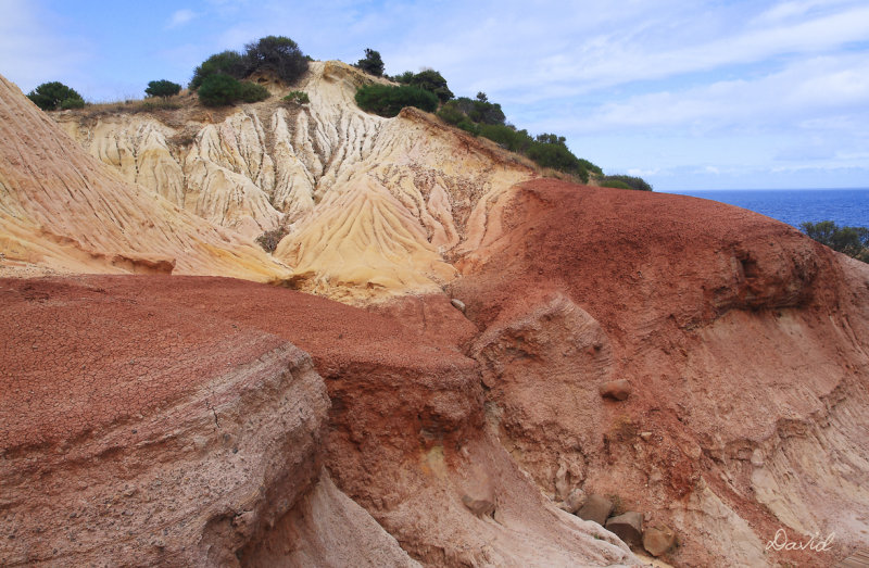 Hallet Cove Conservation Park