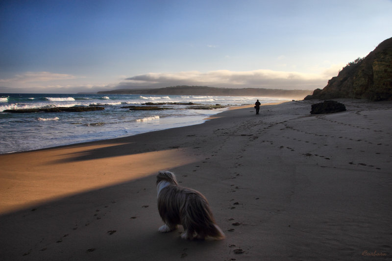 Jan Juc Beach