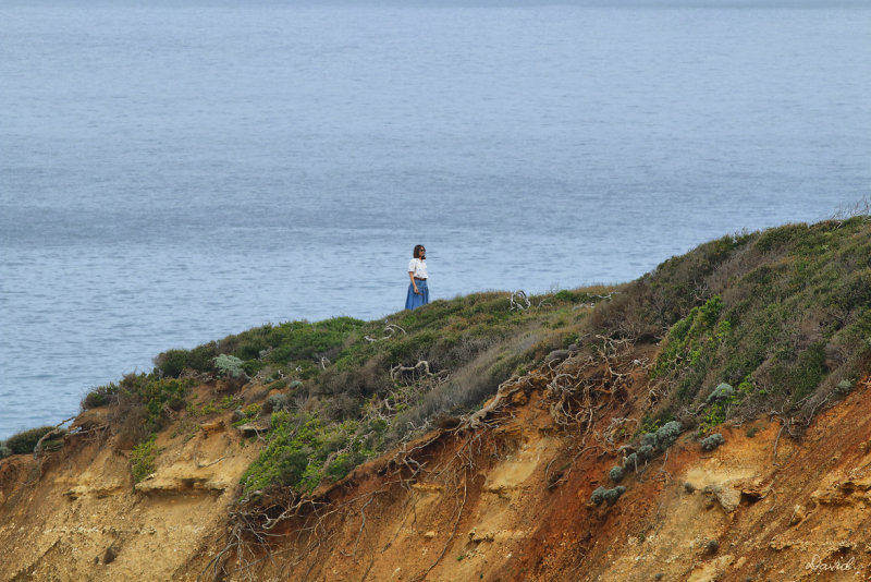 Point Addis