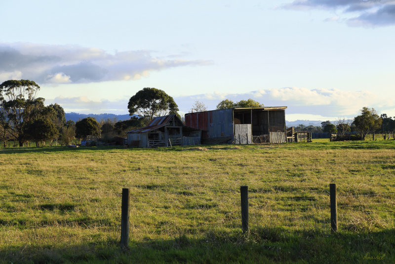 Near Yarragon