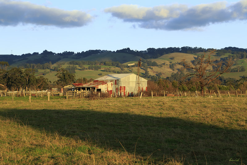 Near Yarragon