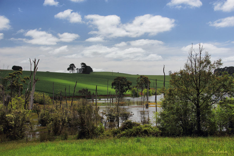 Small lake on a private property