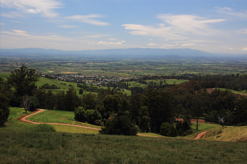 Looking towards Trafalgar township