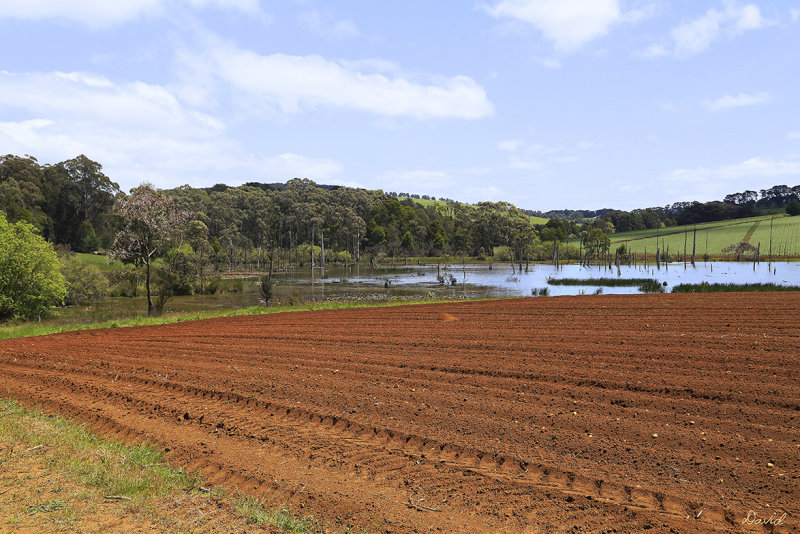Local farming property