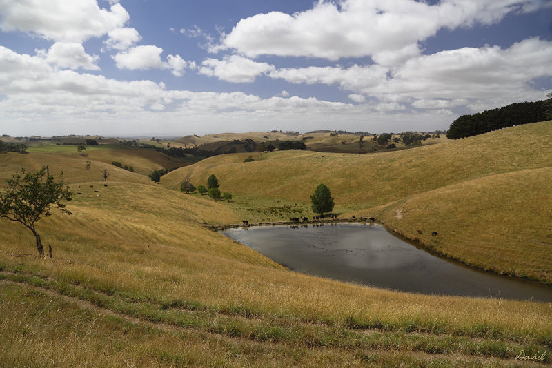 Korumburra Countryside