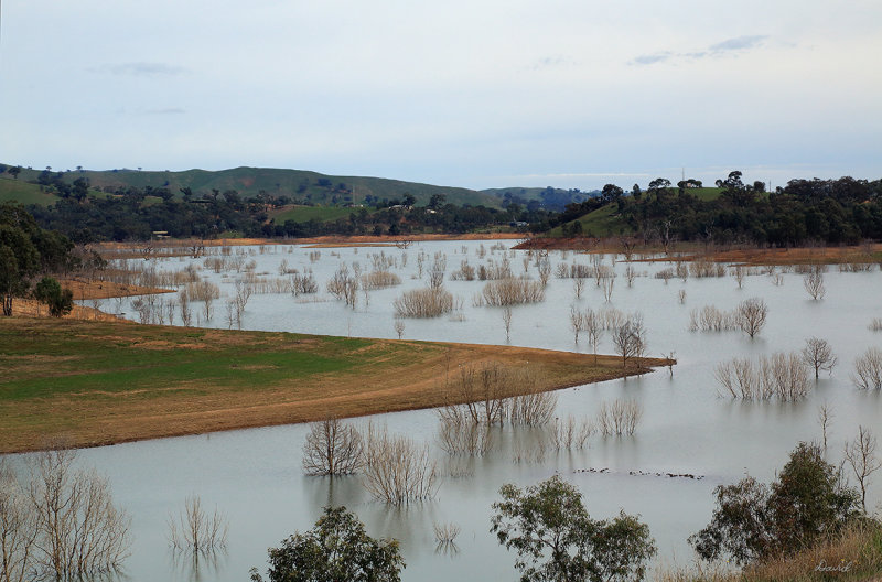 Brankeet Inlet Bonnie Doon