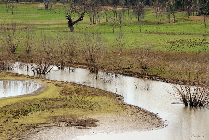 Brankeet Inlet, Bonnie Doon
