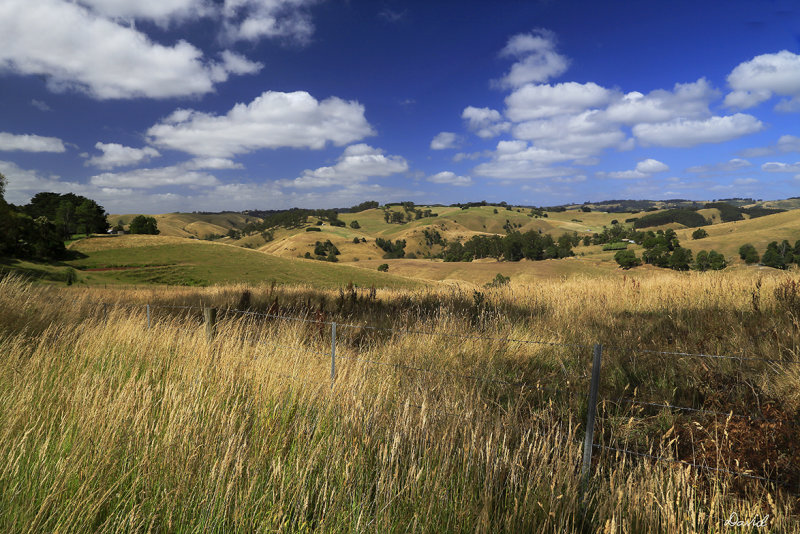Korumburra Countryside