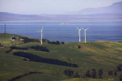 Toora Wind Farm