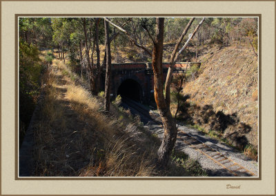 Historic Elphinstone Rail Tunnel