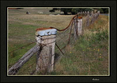 Lancefield, Tooborac road