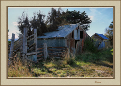 Old shed leaning