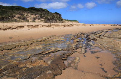 Rock Reef Powlett River 