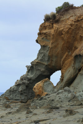 Elephant Rock