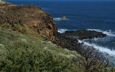 Phillip Island Coastline